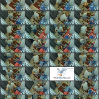 12.mp4.jpg