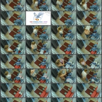 13.mp4.jpg