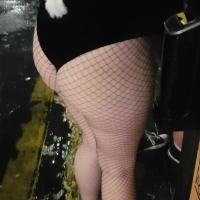 Bunny