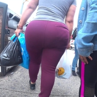 Maroon phatty