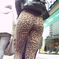 Euro booty in leopard print (part 2)
