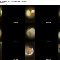 Hidden camera screens from the spy cam pack torrent French pool cabin_s.jpg
