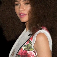 Collection of various pictures of Zendaya out in public TheNipSlipBig2424.jpg