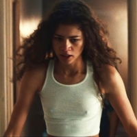 Collection of various pictures of Zendaya out in public NNQSA99.jpg