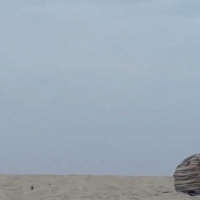 Candid and sexy gif images _javifulgor2 - Your Wife Seducing Strangers on the Beach 11 - 0008bbea6.gif