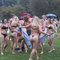 Sexy girls nude or flashing in public Viewer2 - Ass is Where You Find It - 00531646210895.jpg