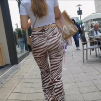 Zebra booty