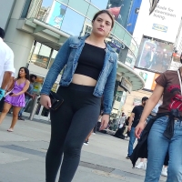 Chick in grey