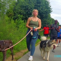 Extra thick dog walker