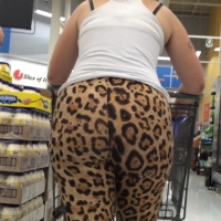 Jiggly leopard