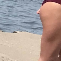 Candid babe with a great ass in a maroon thong bikini D1C1D993-0FDC-45DB-8B54-31E524EA9810.jpeg.7bf5e317e31331dfc70f05c1d6592207.jpeg
