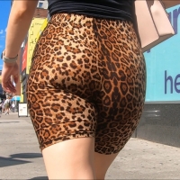 Hot ass candid babe out in jaguar patterned spandex shorts with a great ass Screenshot (1565).jpg
